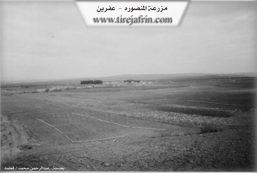 Photo of Mansora